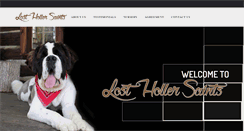 Desktop Screenshot of losthollersaints.com
